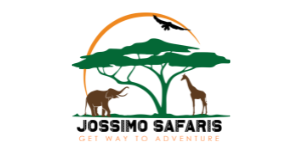 Jossimo Safari